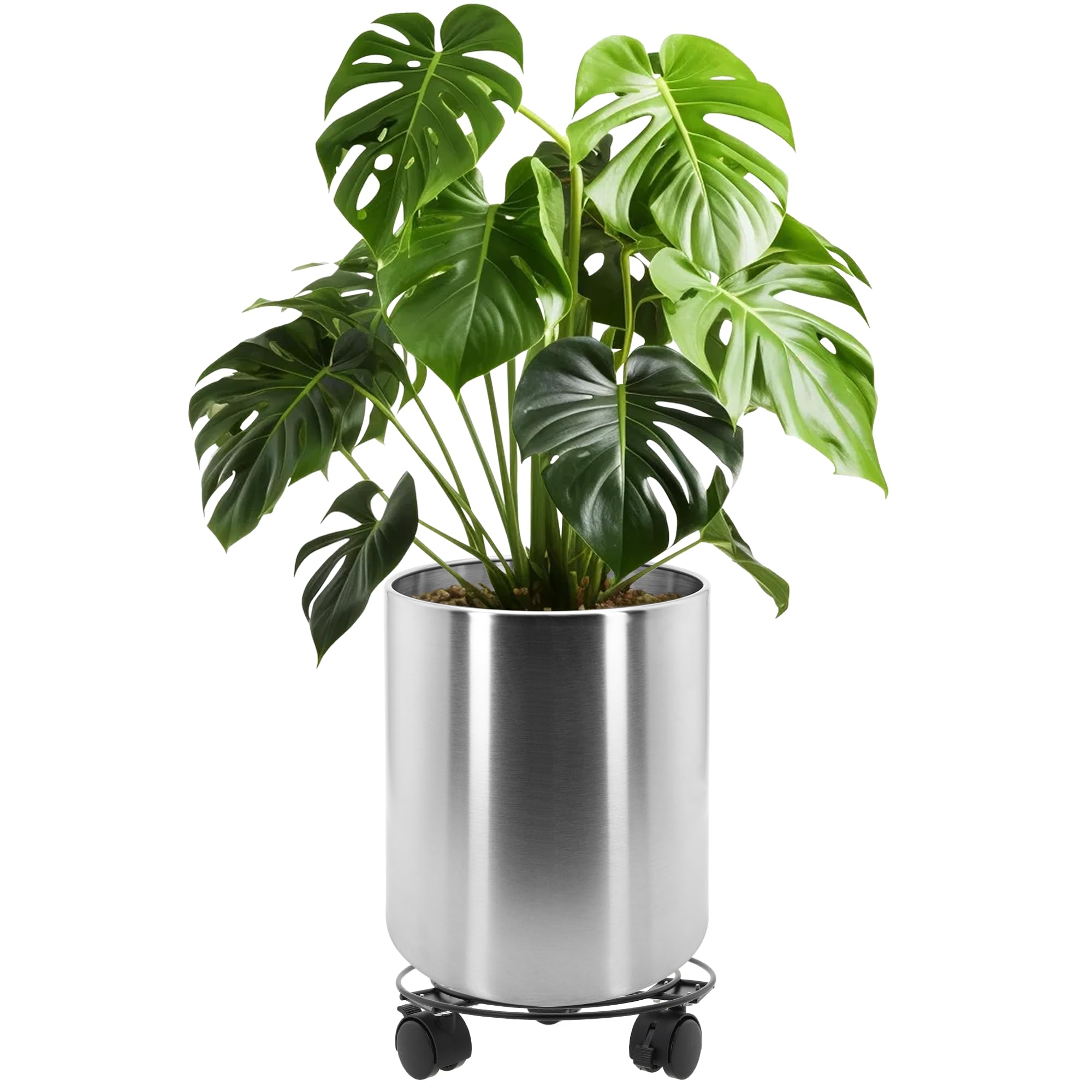Longrun 25cm Stainless Steel Cylindrical Plants Pot, Large Home Patio Décor Gardening Flower Pot, Includes Tray with Universal Wheels - Curved Border