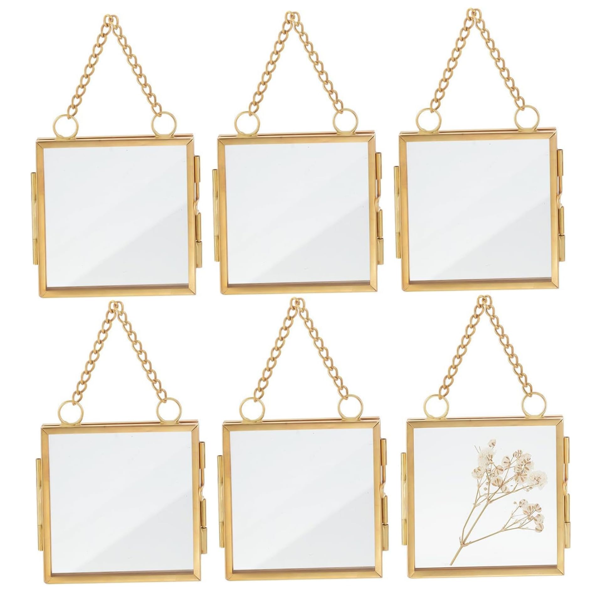 Cadre de fleur pressé pour décor mural suspendu et affichage de fleurs séchées