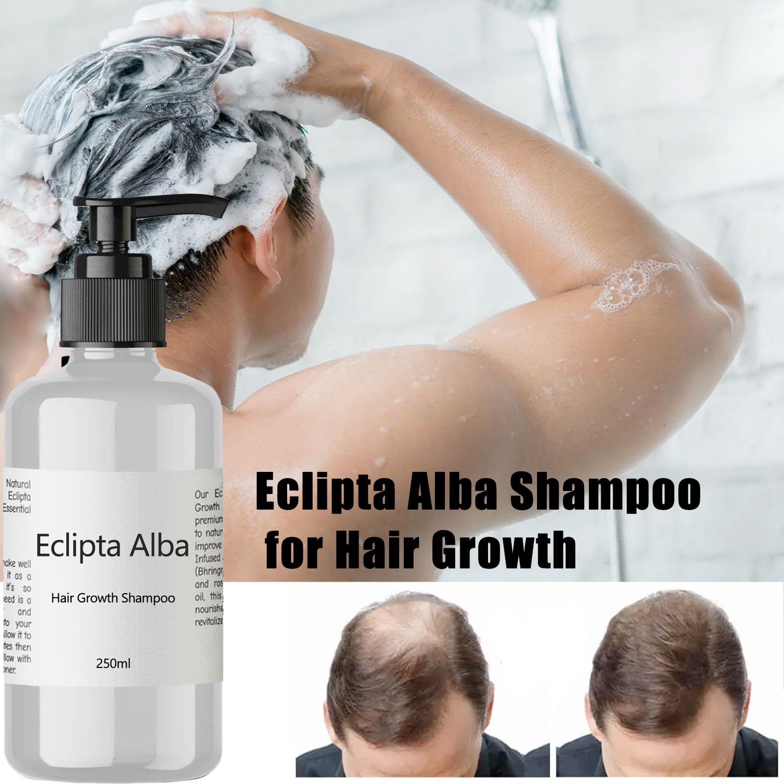 Eclipta Alba Shampoo for Hair Growth, Organic Bhringraj Oil Infused, Strengthens & Nourishes Hair Roots, Hydrates, Prevents Hair Loss, Safe for All Hair Types – 250ml