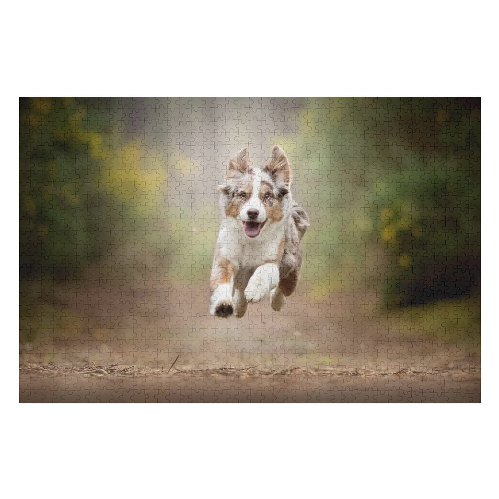 Tierpuzzle-Set für Erwachsene, 2000 Teile, Hunde-Grafikpuzzle, für Kinder, Puzzle-Geschenke für Erwachsene, Premium-Puzzles, 70 x 100 cm