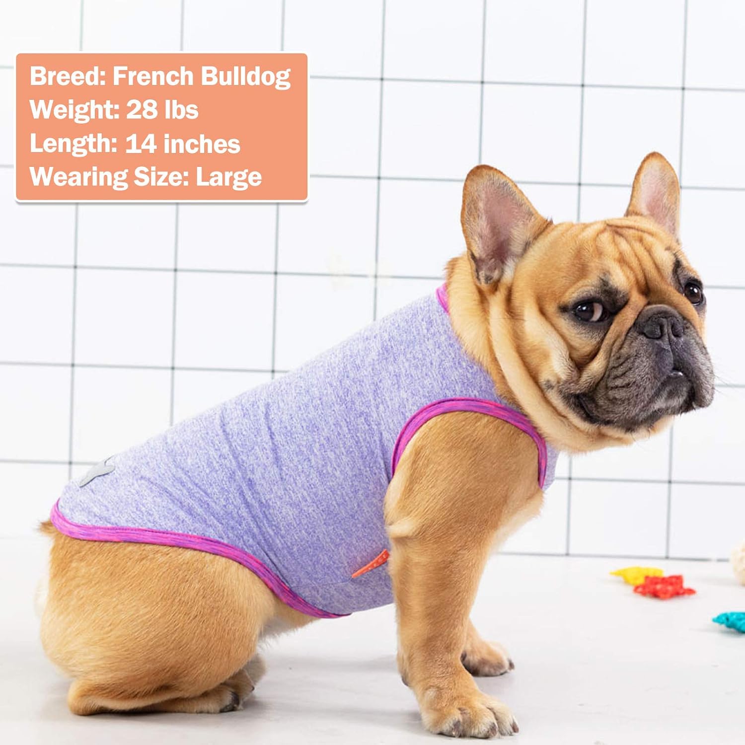 KYEESE 2 Pack Dog Shirts Quick Dry Lightweight Stretchy Dog T-Shirts with Reflective Label Tank Top Sleeveless Vest Dog Clothes for Small Medium Large Dogs (L (12-18lbs), 2Pack (Purple+Hotpink)) : Pet Supplies