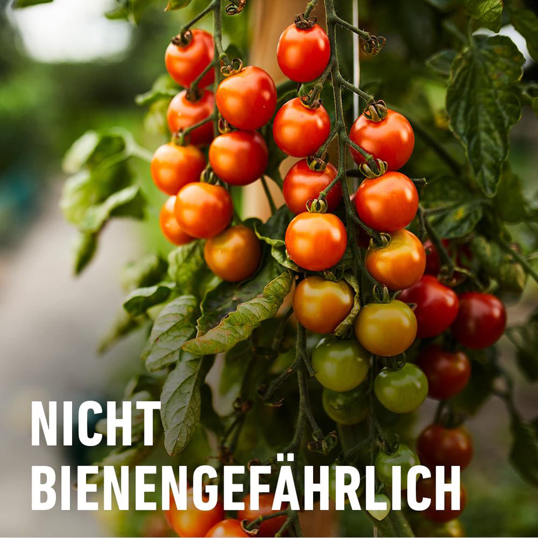 Compo Nativert Blattlaus-frei 500ml : Amazon.de: Garten