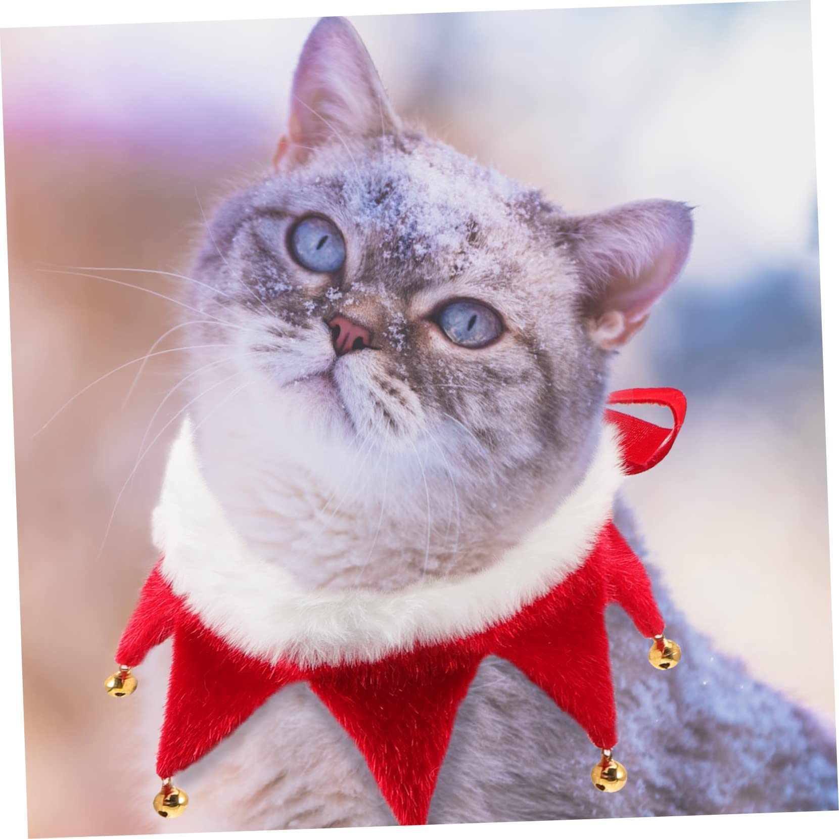 Toddmomy 5pièces Collier De pour Chien Et Chat avec Clochettes Accessoire De Fête pour Animaux De Compagnie Décoration Festive pour De pour Look Adorable Lors Photos Et Familiaux
