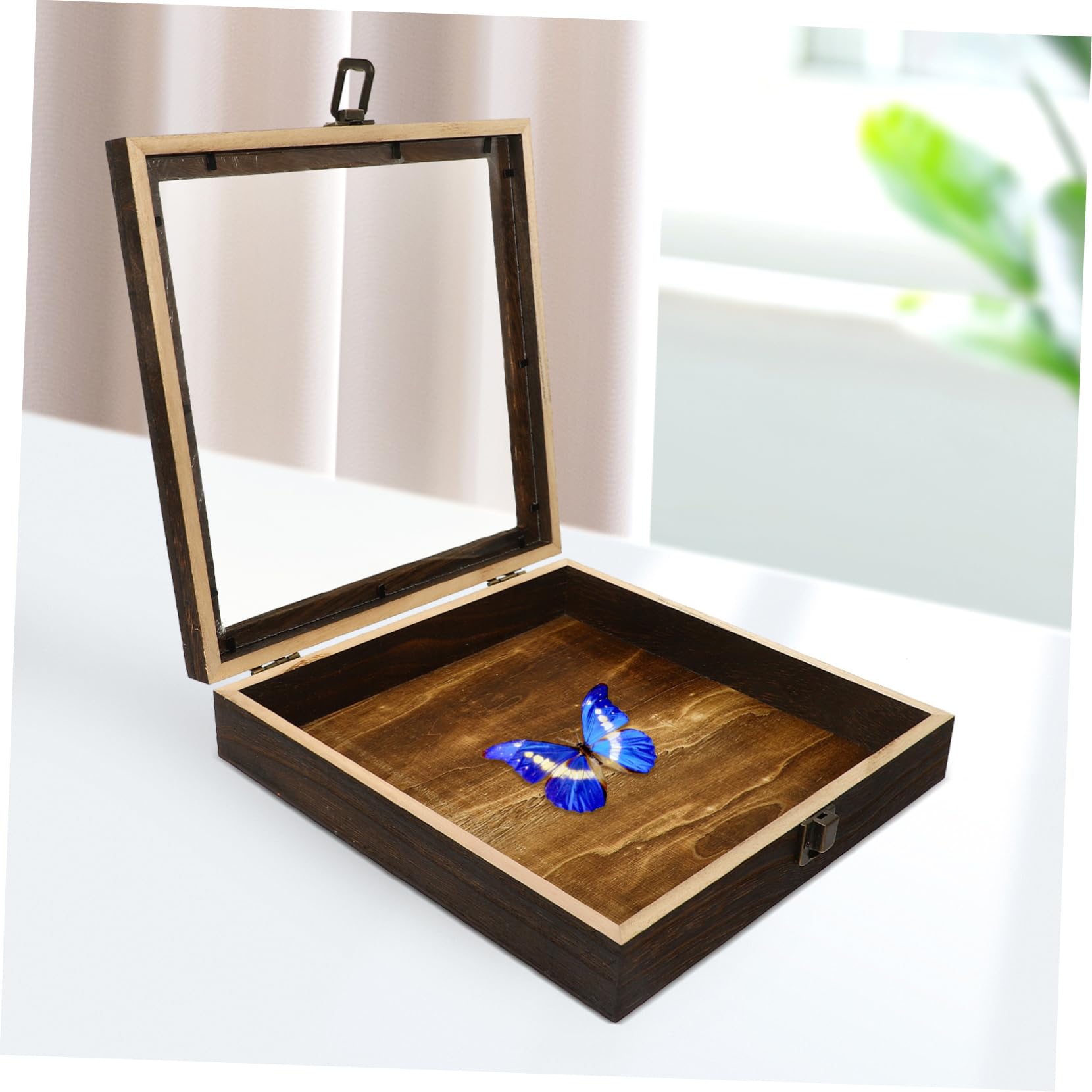 Retro Schmetterlingsvitrine mit Klarsichtdeckel aus Acryl Holz