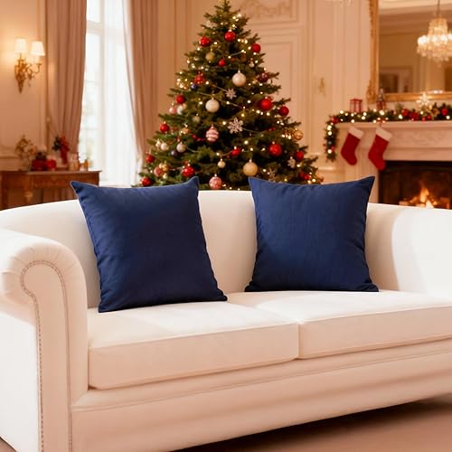 Vista 213 de Encasa Homes - Juego de 2 fundas de almohada, 18 x 18 pulgadas, lona de algodón teñidas, cuadradas, decorativas, para sofá, silla, cama y hogar, Azul