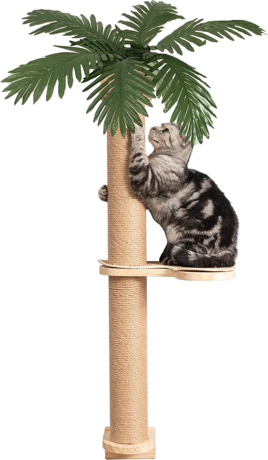 review Scratching Post 33 inch Tall with Wall Mounted Cat Scratcher for Indoor Cats and Cat Wall Shelves, Cat Wall Steps,Cat Stairs for Wall