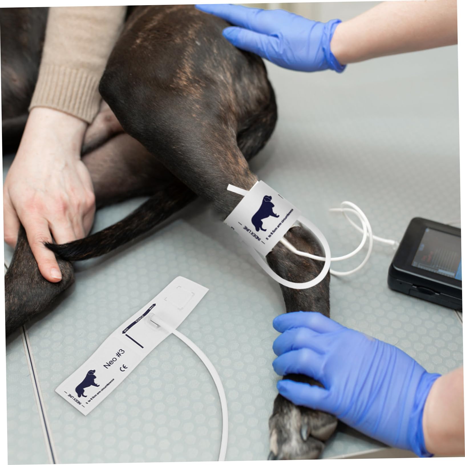 INOOMP Pressione Braccio Misuratore Bracciale di per e Animali Morbida in Tessuto Non Tessuto, Struttura Ragionevole Circonferenze 5-9,5cm Adatto Uso