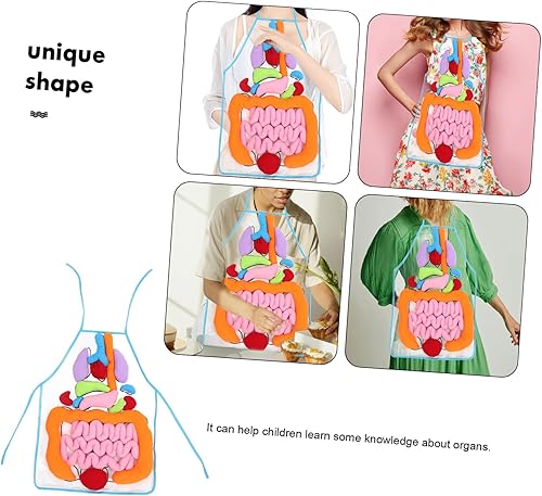 Miniatura 8 de Mikikit Delantal de órgano 3D Delantal de órgano: 1 juego de delantal versátil Kindergarten Enseñanza de Anatomía Delantal de Anatomía del Cuerpo