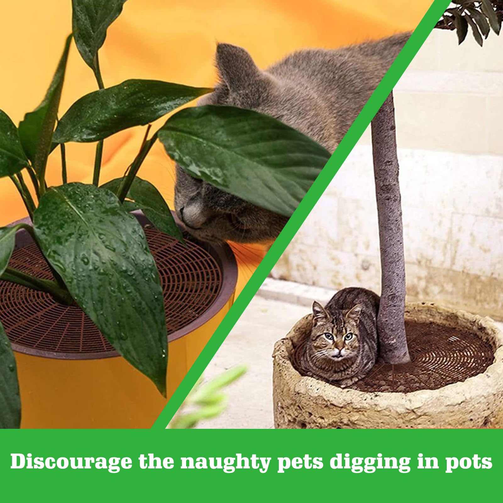 Lot de 6 grilles de protection rondes pour plantes (30 cm, protection pour pots pour chats, pour enfants et animaux de compagnie, couleur noir et marron)