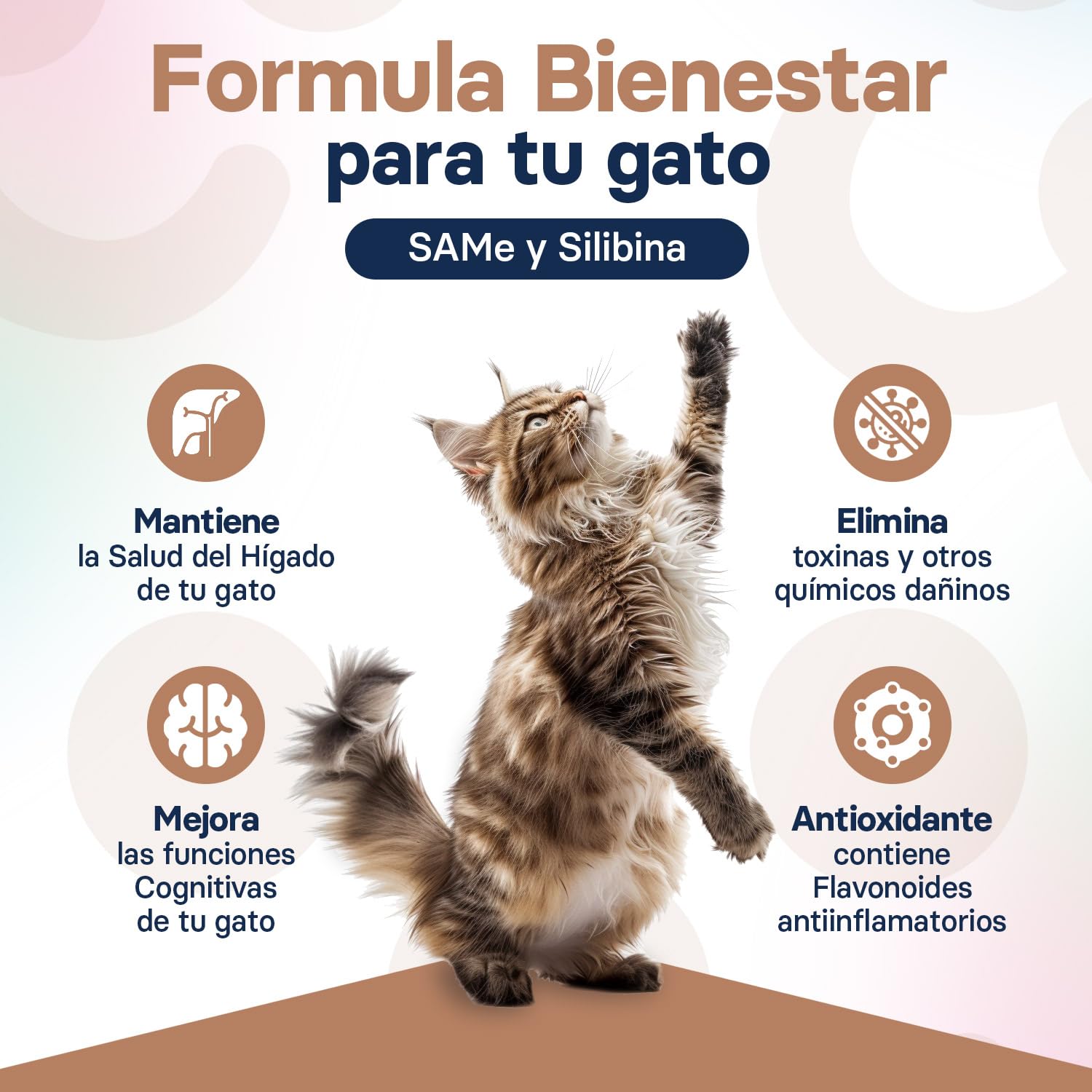 Suplemento Hepático para Gatos - Suplemento de Cardo Mariano para Mejorar la Salud Hepática - con S-Adenosilmetionina (Same) y Silibina - 30 Comprimidos