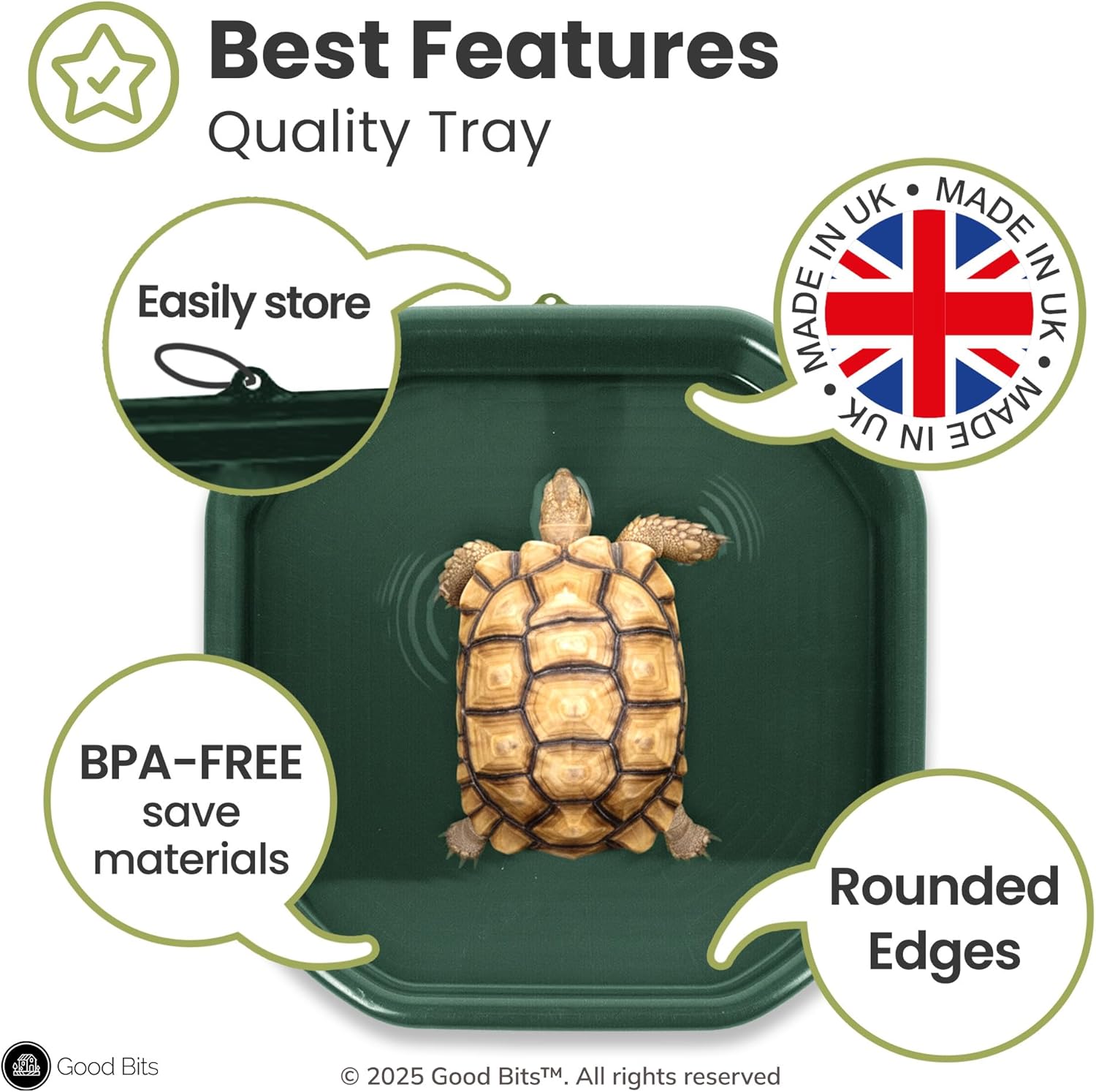 Reptile Tray (28"x28") Bathing Pool basking Platform for Aquatic Turtle Bearded Dragon Lizard Gecko Frog, Plastic Outdoor Water Shallow Bowl Forest Green Medium