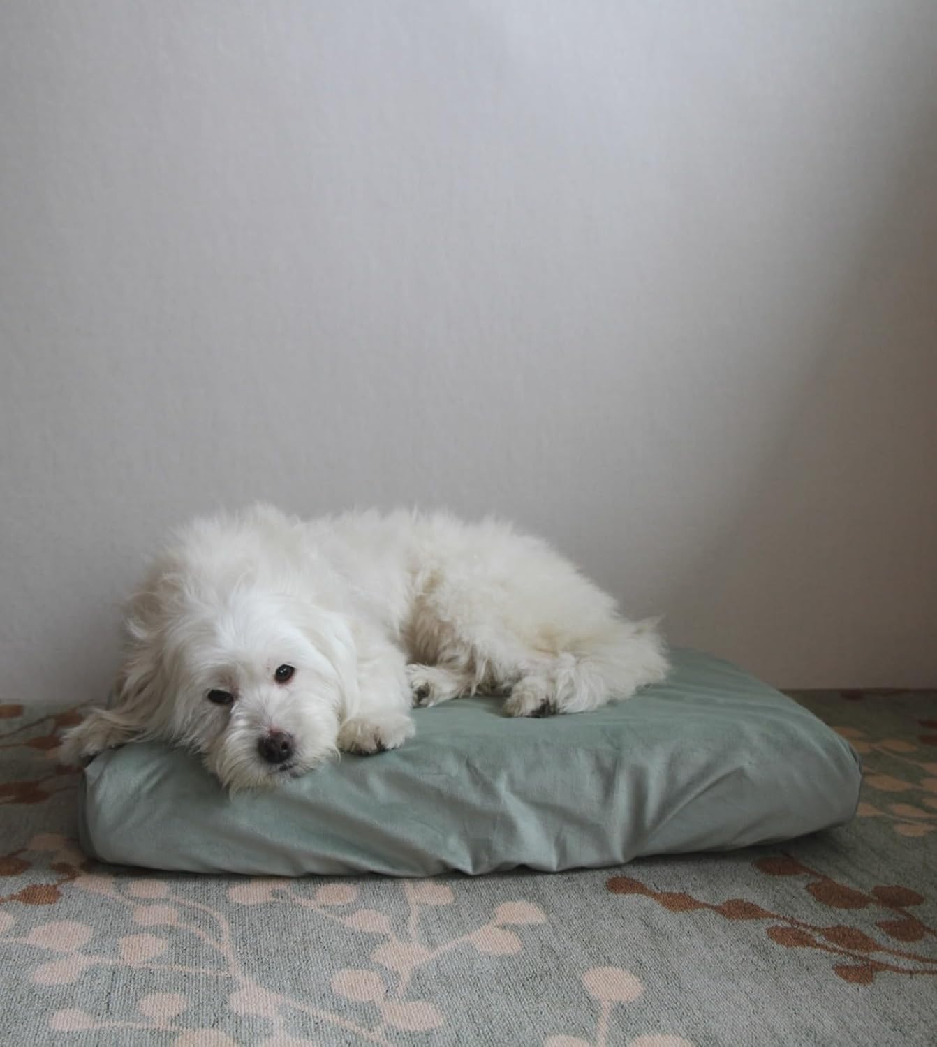 洗える犬用ベッドカバー交換用セージグリーンベルベット44&times;32インチ