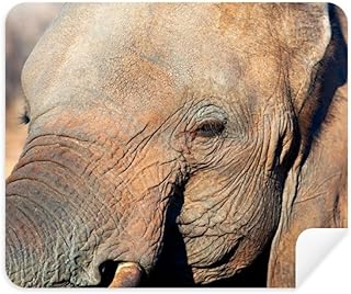 Terrestrial Organism Elephant Animal Cleaning Cloth Screen Cleaner 2pcs Suede Fabric