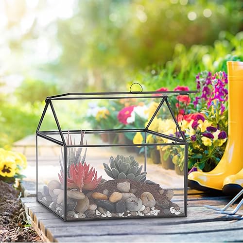 Miniatura 2 de JUXYES Terrario de plantas con forma de casa con tapa giratoria, maceta de terrario de vidrio geométrico para helecho musgo, caja de exhibición de