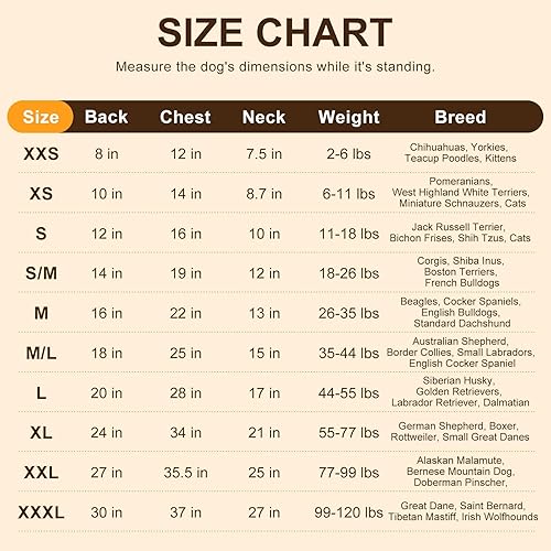 Miniatura 2 de BEAUTYZOO Suéter con capucha para perros pequeños y medianos con bolsillos, ropa para perros pequeños y medianos, abrigos de algodón laminado para