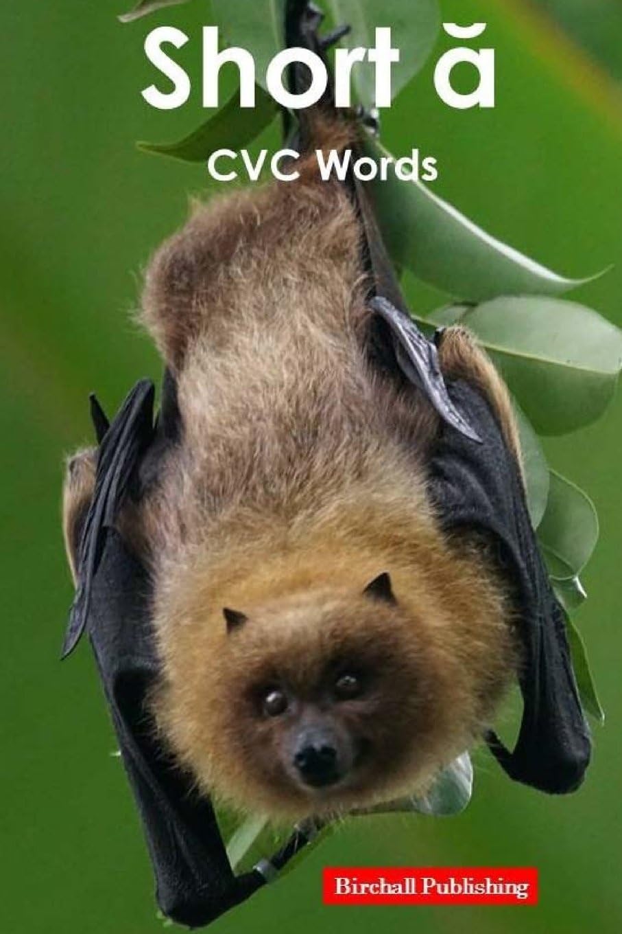 Vowels: Short a Vowel (CVC Words) (Phonics for Kids)