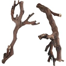 2pcs Natural Wood Branches for Reptiles, Reptile Wood Branch Decoration for Gecko and Small Lizard Climbing, Universal Tank Compatibility, Natural Habitat Simulation,