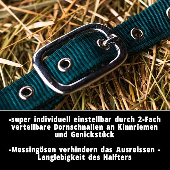 Halter for Horses with Knit Lead Rope Horse Halter Pony Thoroughbred Full X-Full with Knit (Green Warmblood)