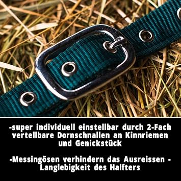 Halter for Horses with Knit Lead Rope Horse Halter Pony Thoroughbred Full X-Full with Knit (Green Warmblood)