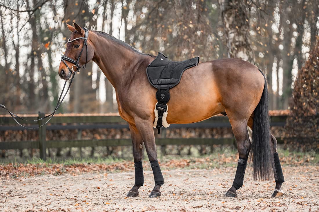 Equinate Reitpad Toledo aus Mikrofaser Schwarz - Bareback Pad mit Neopren Unterseite