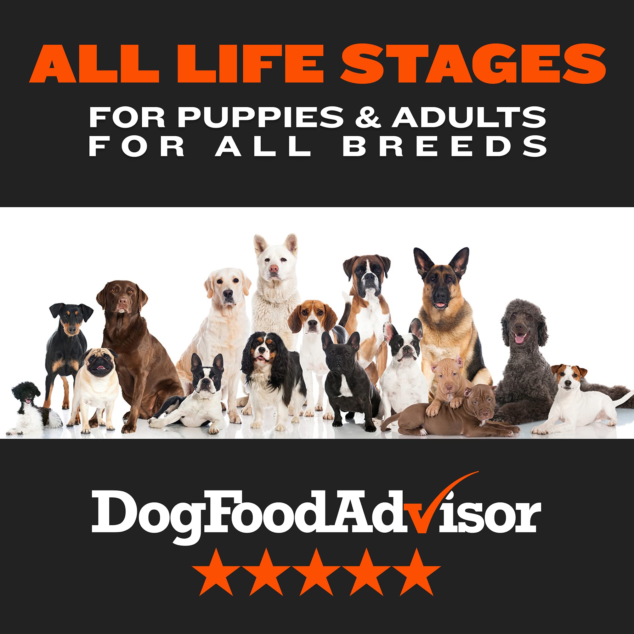 Bully Max High Performance Super Premium Dog Food. for All Ages (for