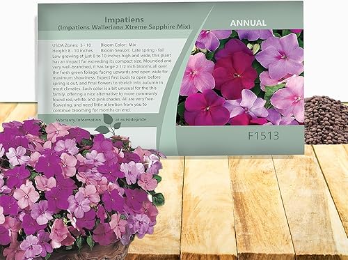 Outsidepride 200 semillas Impatiens Xtreme Sapphire Shade Garden Flower Seed Mix para plantar