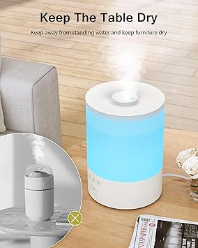 Foto del Humidificador