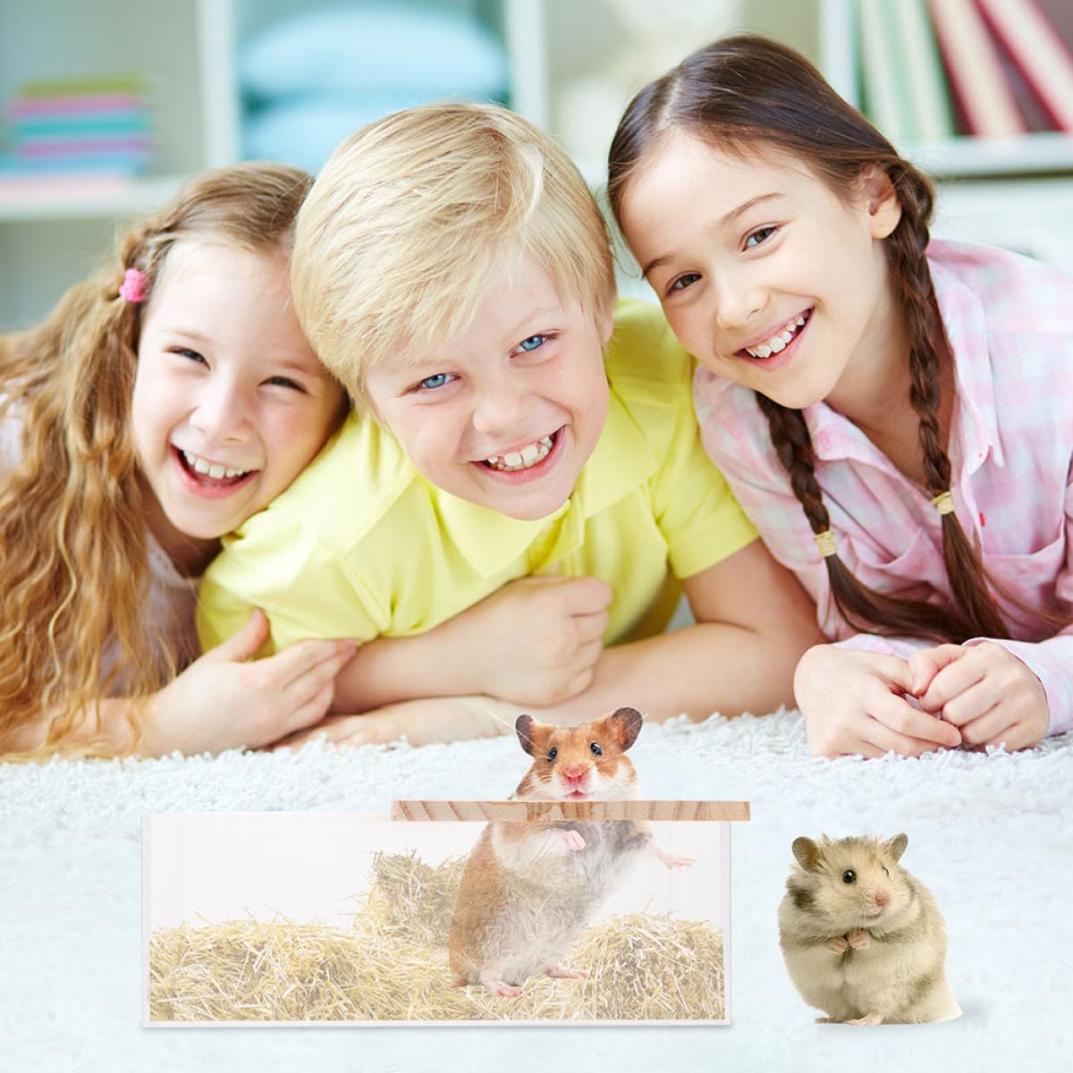 SOLUSTRE 2 Stück Acryl Hamsterbadewannen für Kleintiere Verschleißfeste und Glatte Oberfläche Transparenter Badebehälter für Zuhause und Tierladen