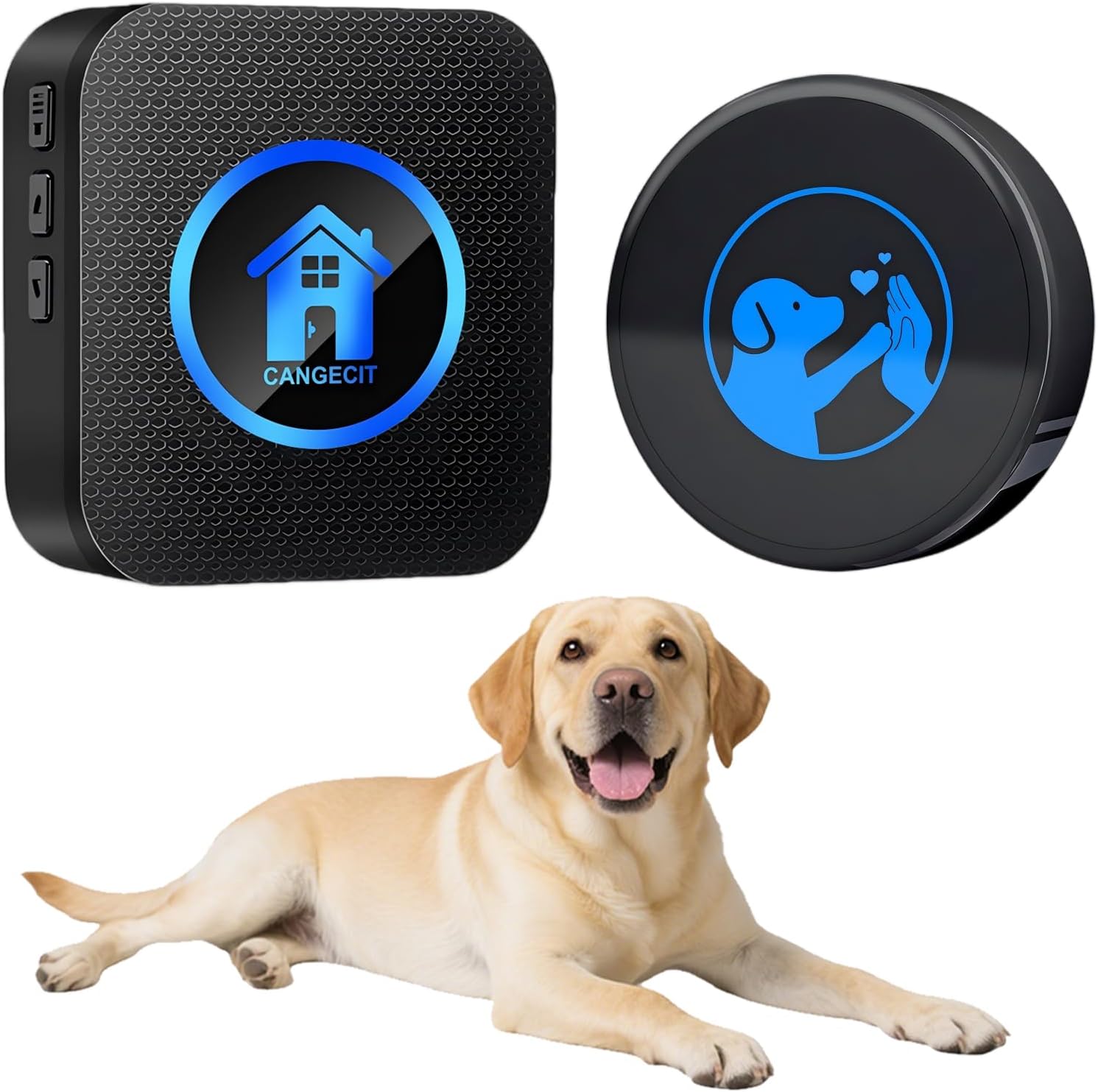 Dog Door Bell for Potty Training, Smart Wireless Doggie Doorbell to Go Outside, 1000 Feet Long Range with IP65 Waterproof Super-Light Touch Button, 60 Melodies & Adjustable Volume (1 Button)