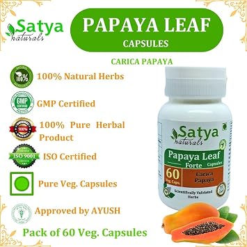 Papaya Leaf Forte Capsules 500 mg. 60 Veg. Capsule | Papaya Leaf (Carica papaya) Extract Capsules for Men and women | Ayurvedic Herbal Supplement/Remedies | 10:1 Forte (2 Bottles of 60 Capsules)
