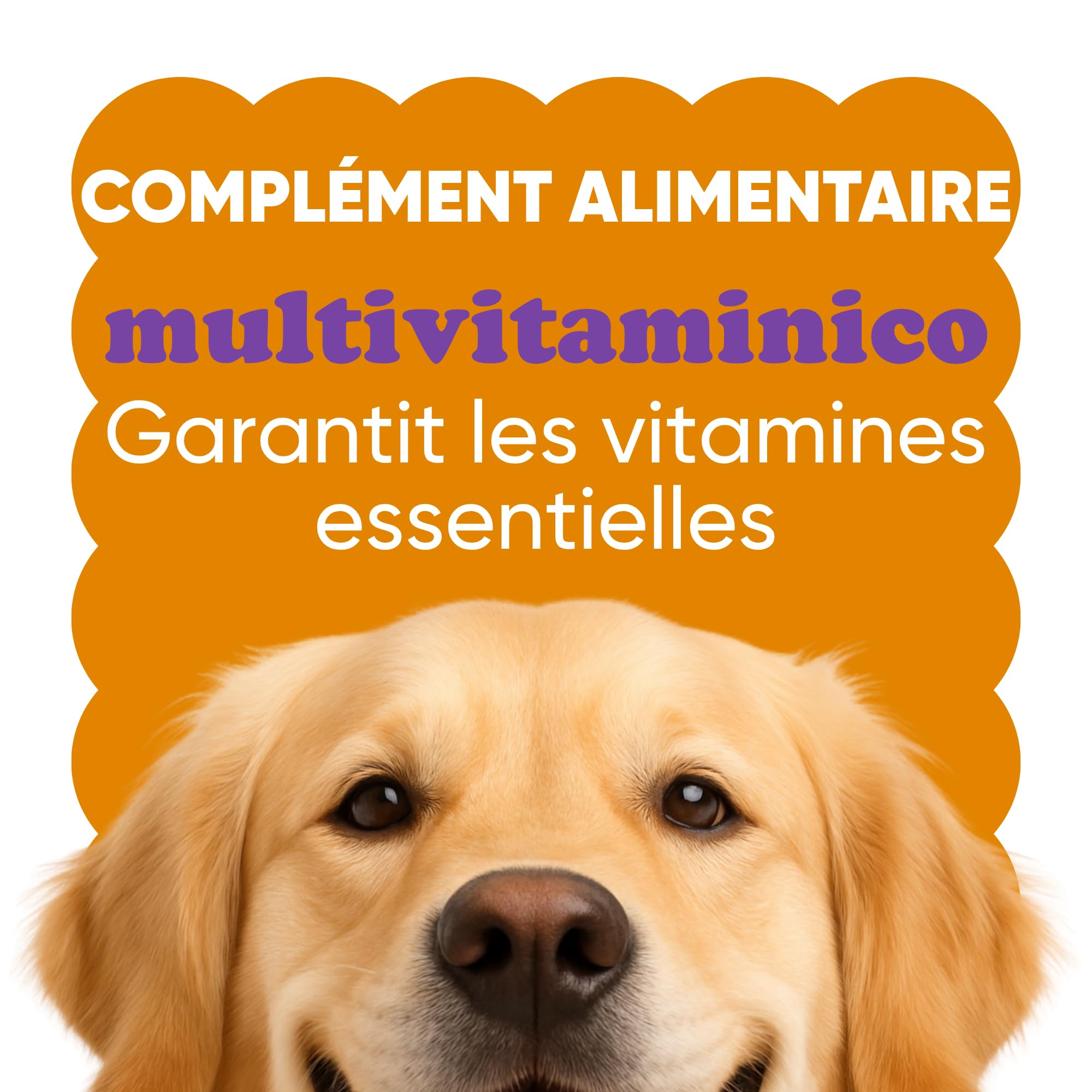 Complément Multivitaminé Complet 11 en 1 | Poudre pour Chiens (250g) | 20 Vitamines et Minéraux & Moringa Bio | sans Appétents Animaux | Idéal pour Régime Maison | Fabriqué en Italie - WELLFOOF