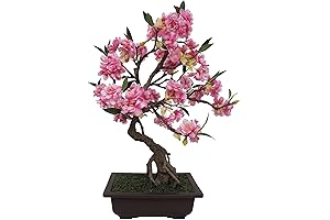 20" Hx12 W Silk Cherry Blossom Bonsai Tree w/Planter -Pink