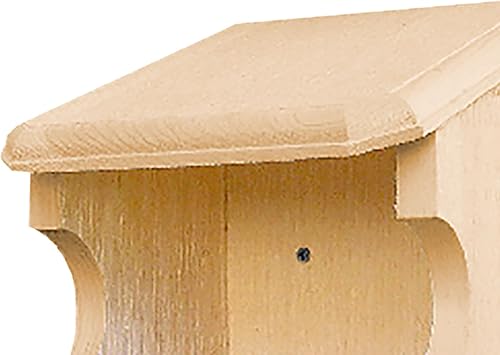 Nesting Perch Open-Front Birdhouse | Handcrafted from Sustainable Eastern White Pine | Easy Mount Under Eaves or on Building | Weather-Resistant Protection for Song Sparrows, Robins & More