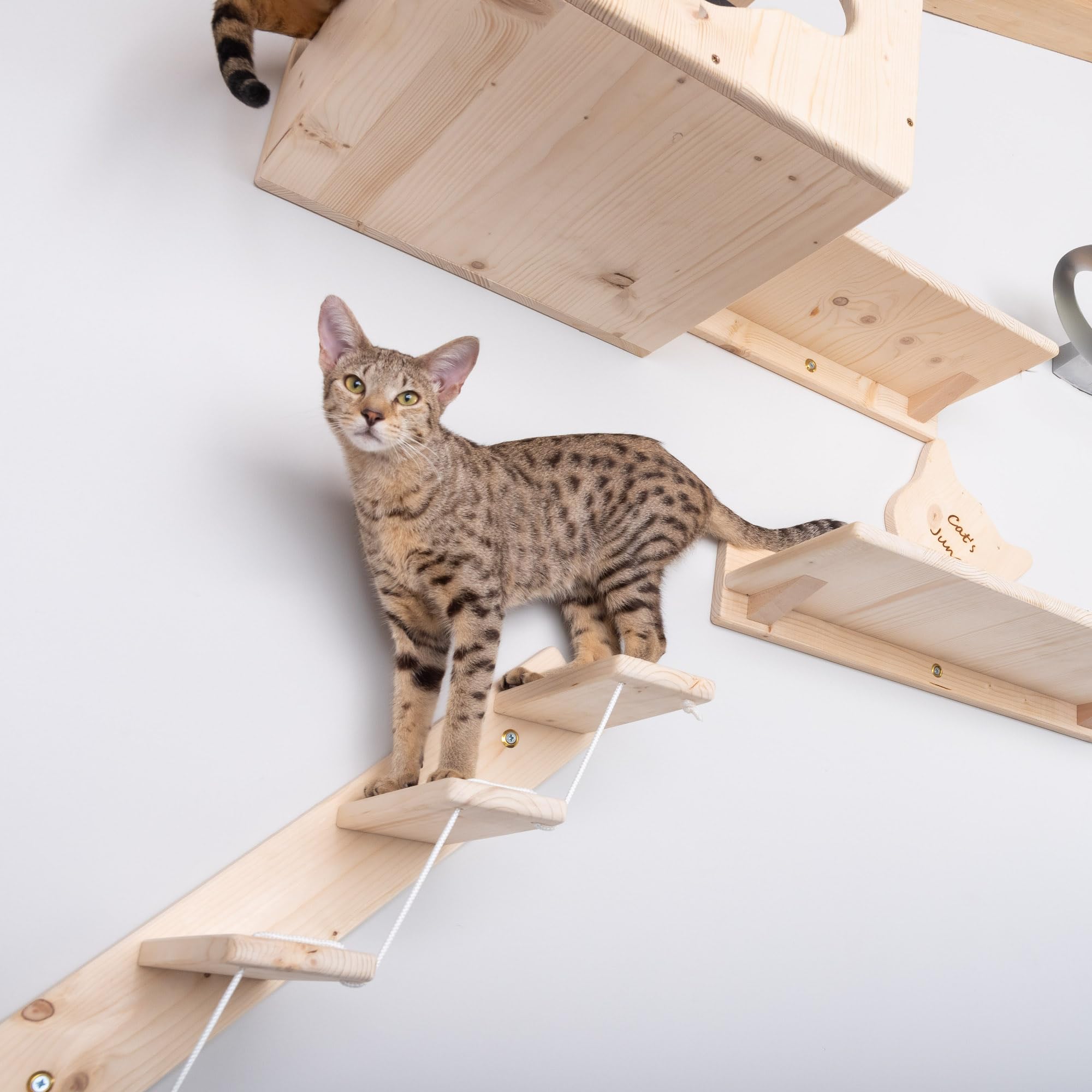 Scaletta per Gatti da Parete in Legno d'Abete Artigianale, Scala 4 Gradini Destra, per Giocare e Arrampicata per gatti con Resistenza Fino a 20 kg - Percorsipergatti