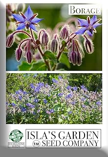 "Borage" Herbal Flower Seeds for Planting, 125+ Seeds Per Packet, (Isla's Garden Seeds), Non GMO & Heirloom Seeds, Botanic...