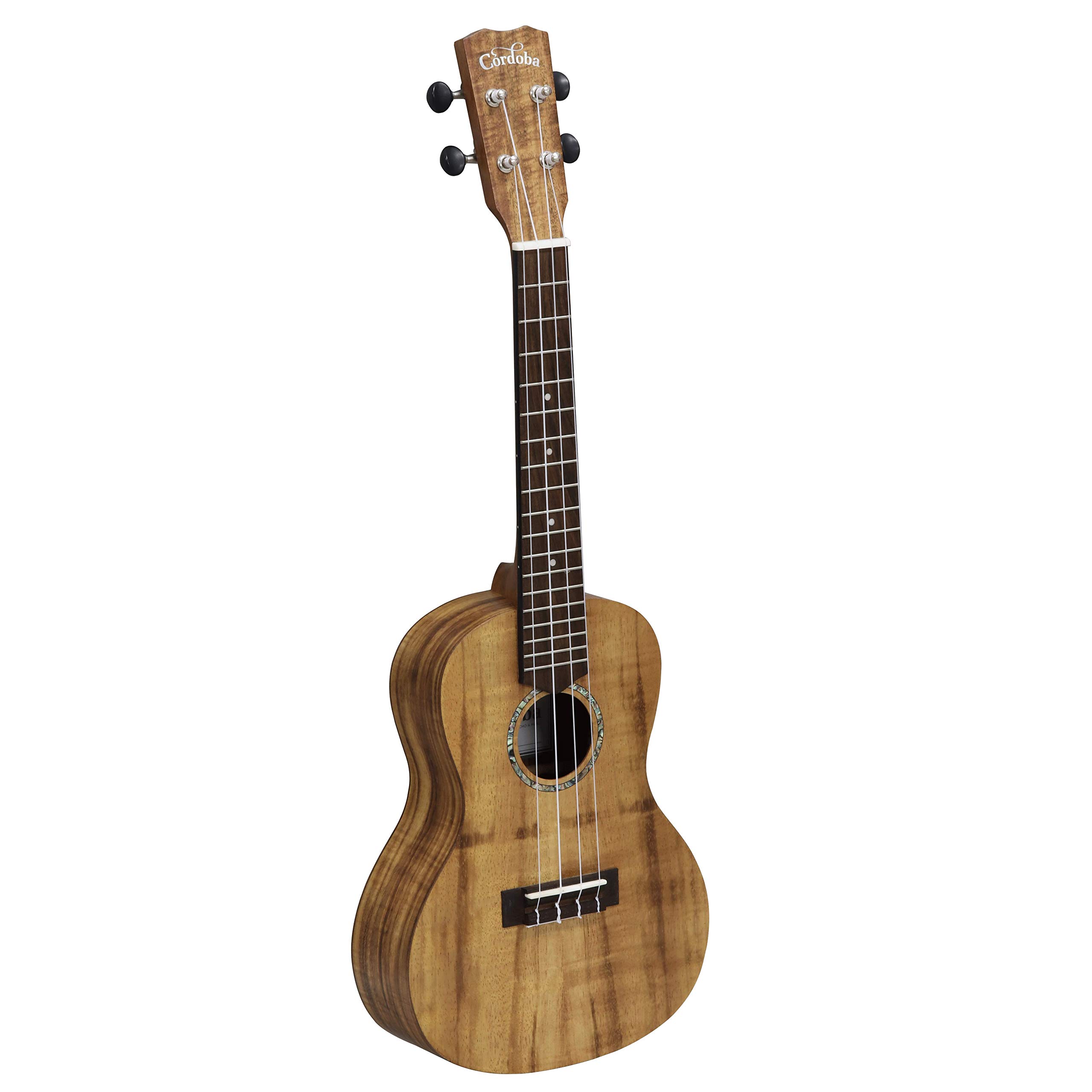 Amazon.co.jp: CORDOBA (コルドバ) ハワイアンコア ボディ コンサート 