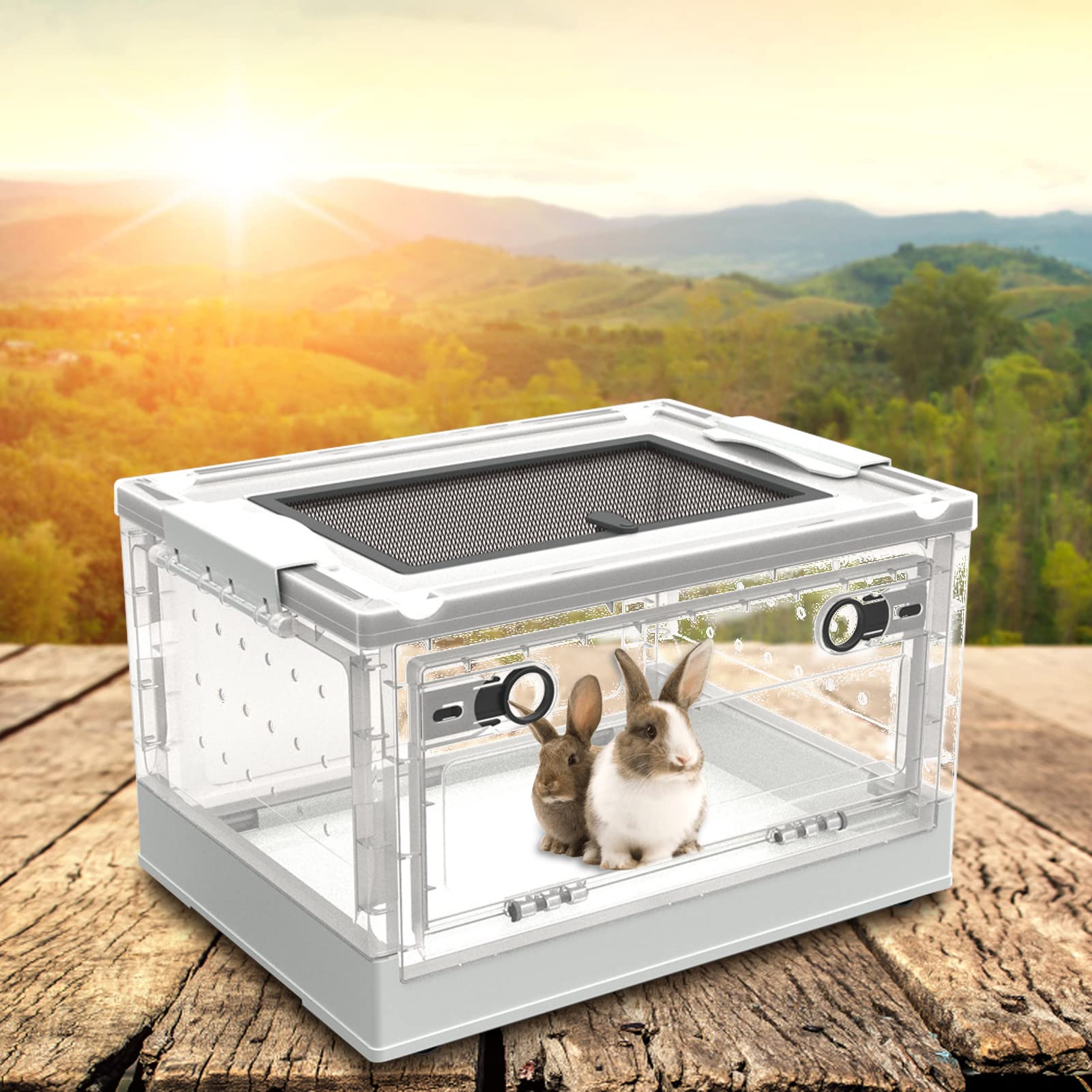 Terrarium en verre pour reptile, récipient sûr et transparent, pour habitat de reptile avec porte coulissante supérieure, cage de protection pour habitat de 15119 pouces