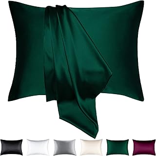 BEIJOEY 100% Mulberry Silk Pillowcase 2 Pack for Hair and Skin,19 Momme 600 Thread Count Natural Silk Pillow Cover Set of ...