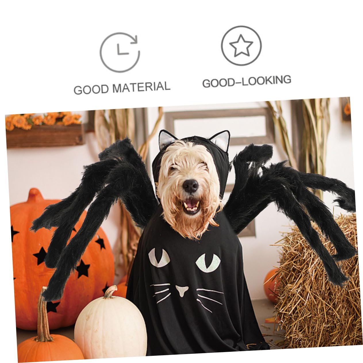 INOOMP 3piezas Disfraz De Halloween para Mascotas Traje De Araña Ocho Patas Simuladas Ropa Divertida y Cómoda para Perros y Gatos Decoración Halloween para Fotos y Fiesta