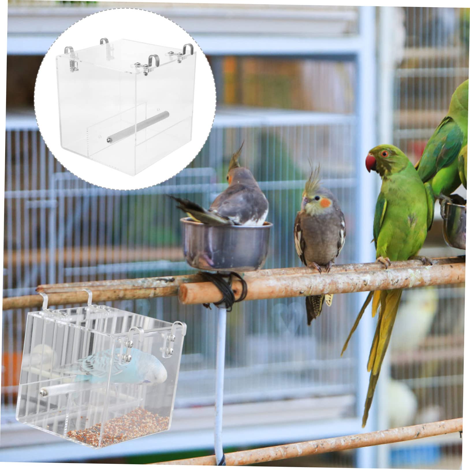 Mangeoire à Oiseaux Automatique en Plastique pour Perroquet et Petits