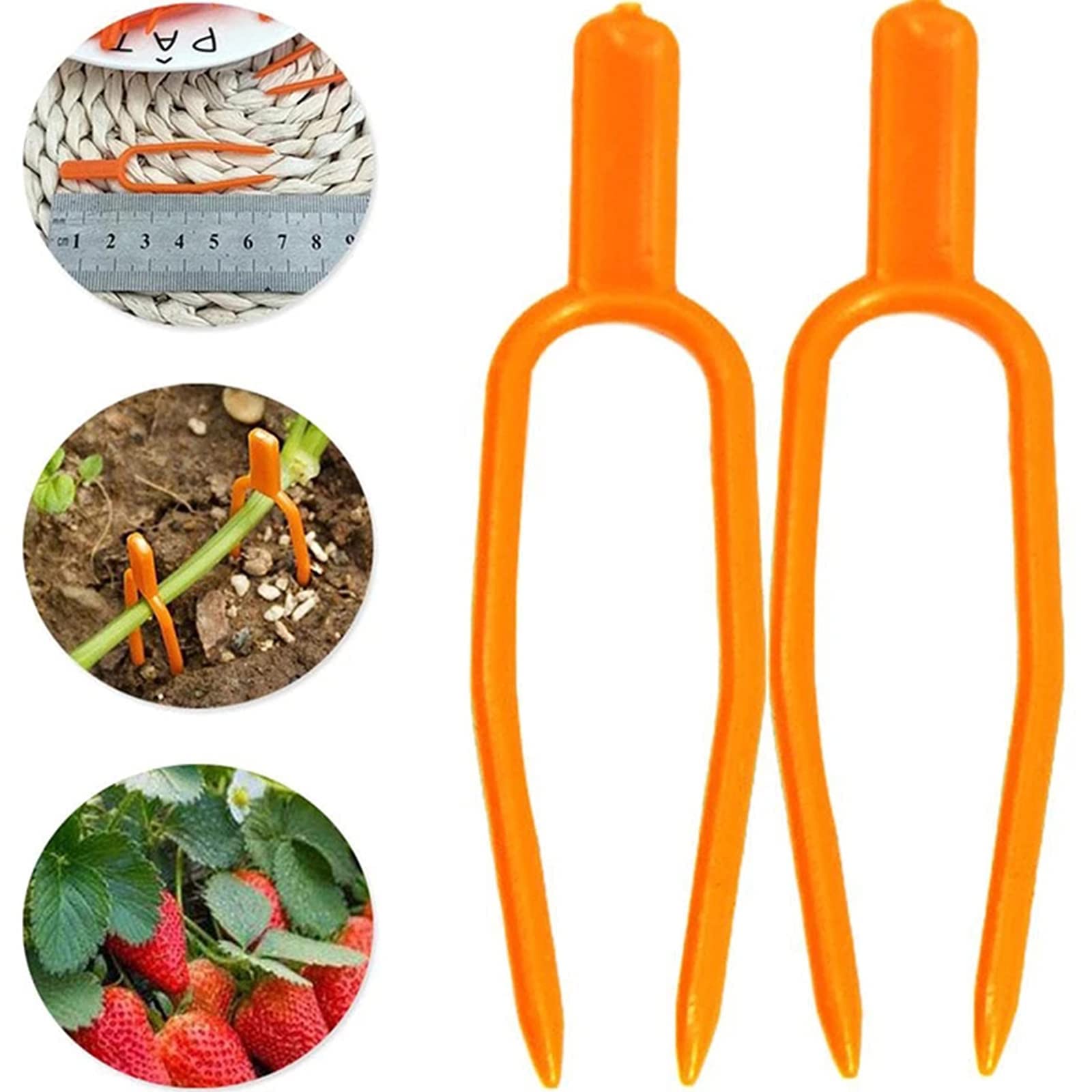 Lot De 100 Clips De Support Pour Plantes Grimpantes, Clips