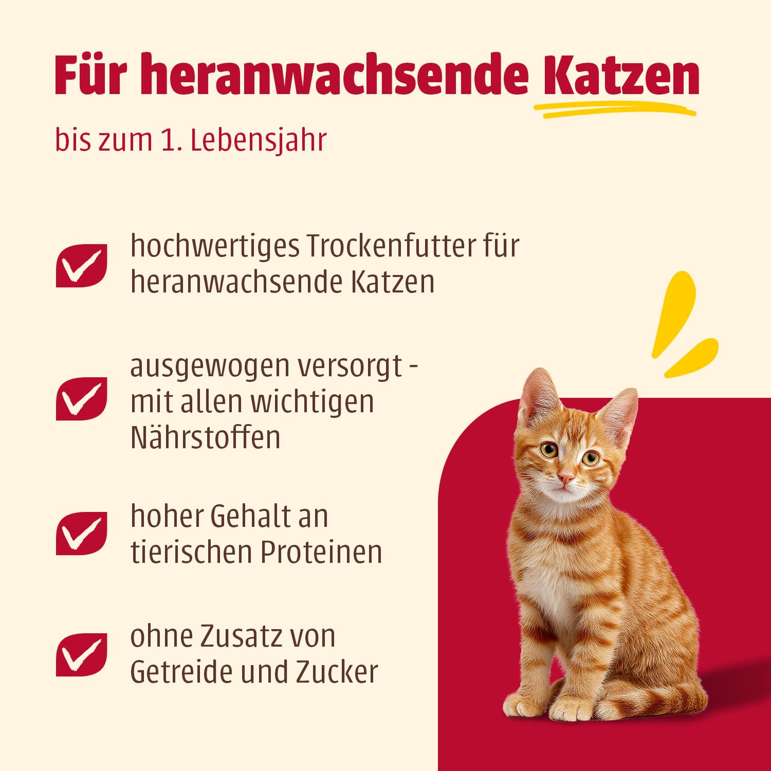 animonda Carny Kitten Huhn (1,75 kg), Kitten Trockenfutter für wachsende Kätzchen, Katzenfutter ohne Getreide und Zucker… – Ansicht 2