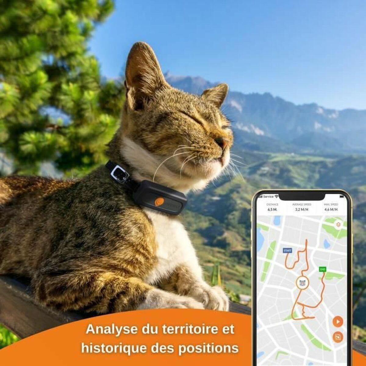 Weenect Collier GPS pour Chat XS (Black Edition 2023) | Suivi GPS en Temps réel | Plus Petit modèle du marché | Fonctionne avec abonnement | Garantie à Vie