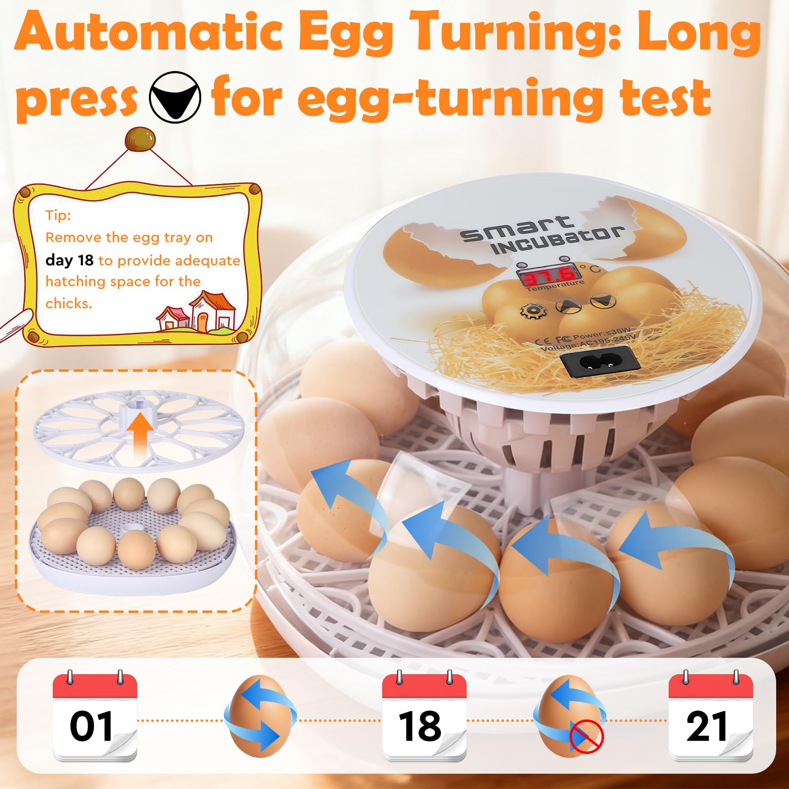 EFUTURETIME Incubadora Automática para Huevos de Gallina, Aparato Incubador para Hasta 12 Huevos con Volteo Automático, Regulación de Temperatura