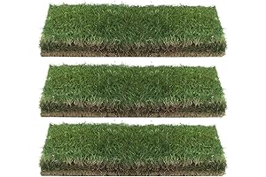 Emerald Zoysia Grass Sod