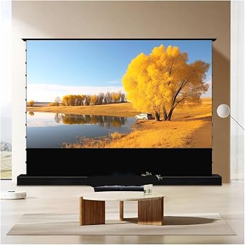 Compatible For Hisense PX3 Pro 120 Inch ALR Projection Screen(100 White Housing)