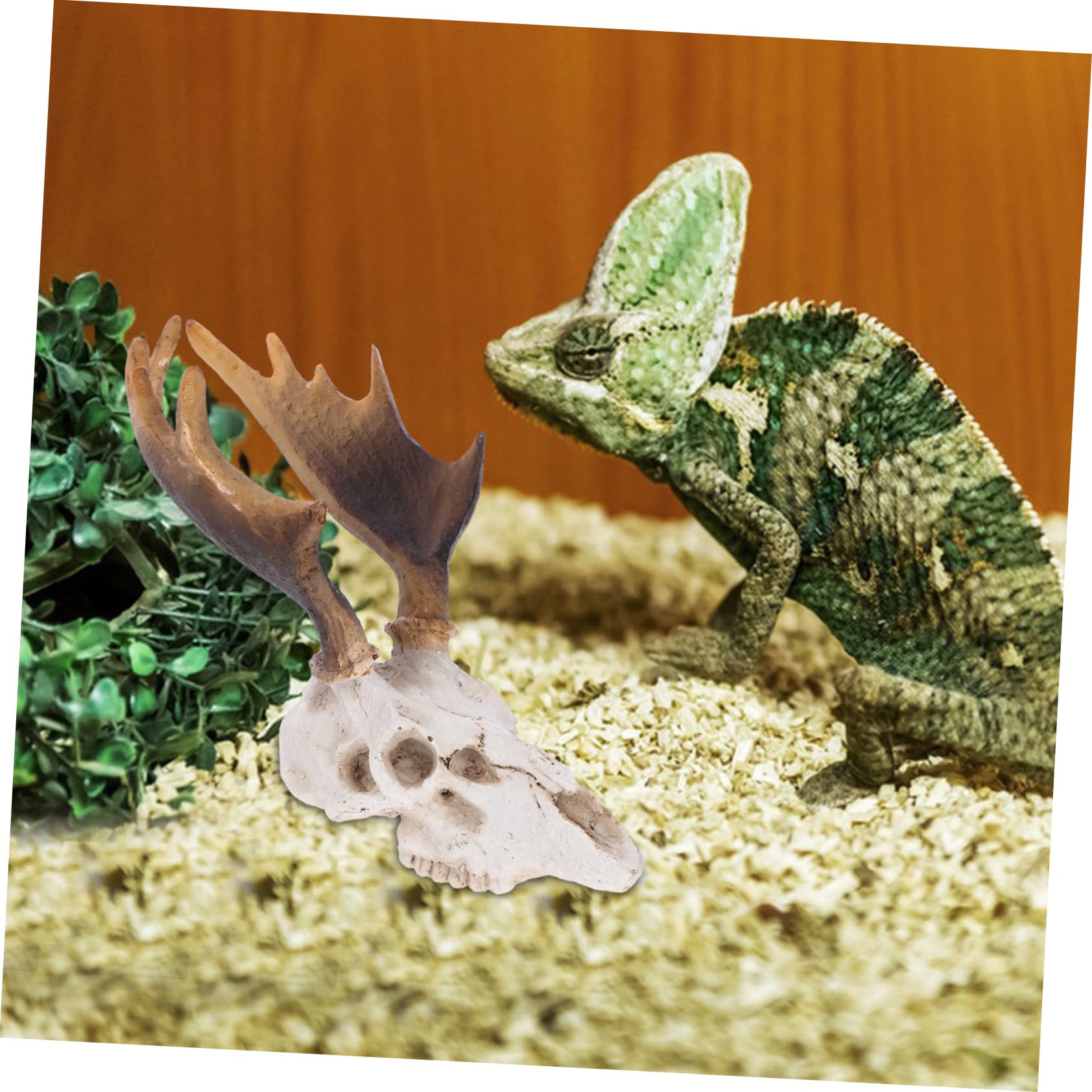 BESTonZON 4pièces Refuge pour Reptiles Décoratif Crâne De Cerf pour Terrarium Abri pour Reptiles Et Amphibiens Plateforme De pour Animaux De Compagnie
