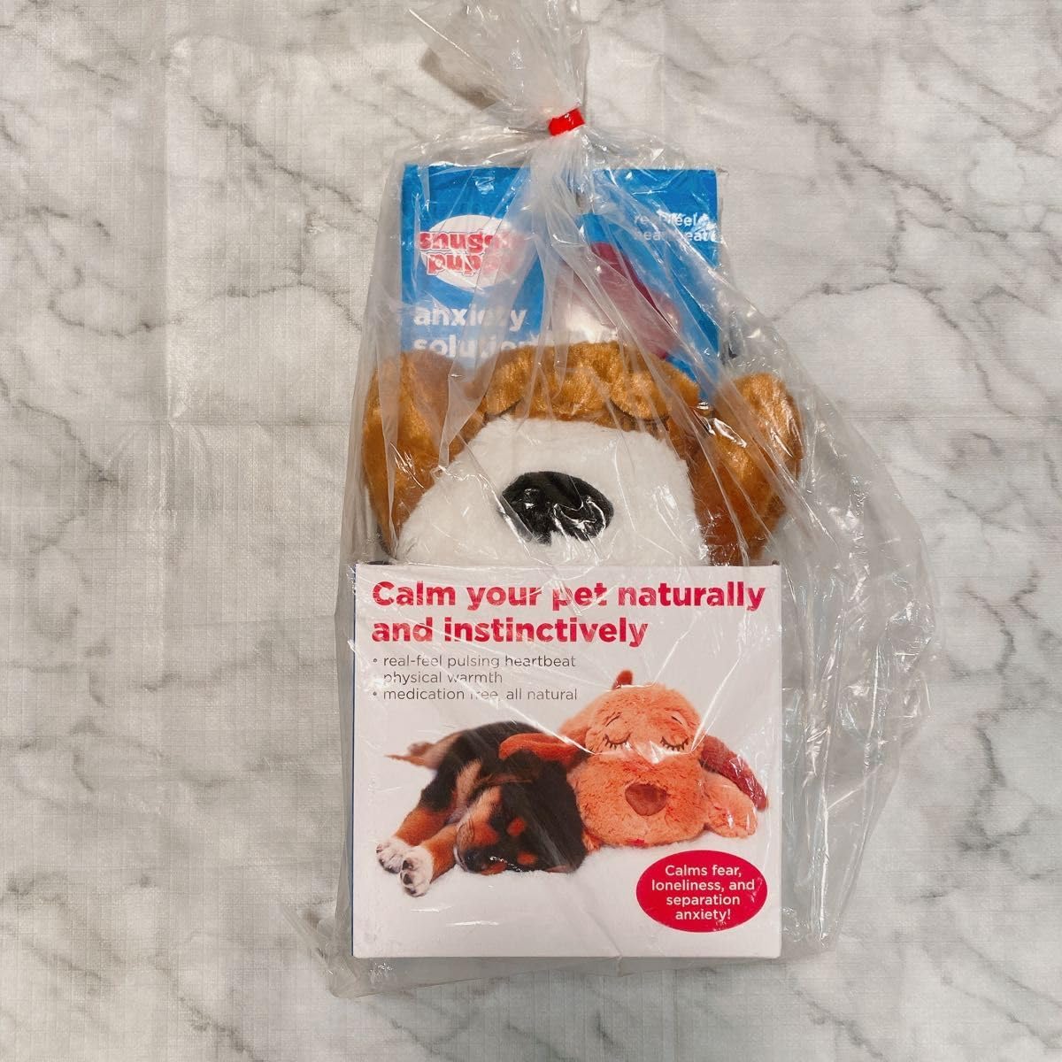 オ-エフティ- コンパニマル ブルドック V335499