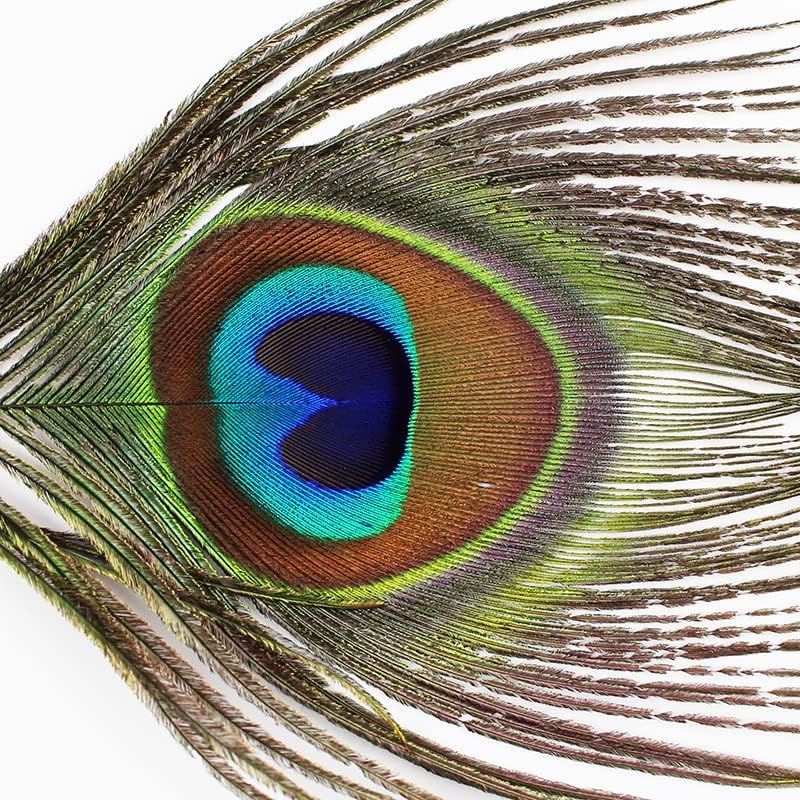 Miniatura 5 de Bolígrafo de plumas de pavo real, tinta negra, pluma vintage, pluma chapada refinada, bolígrafo para escritura escolar, regalo de boda, bolígrafo de