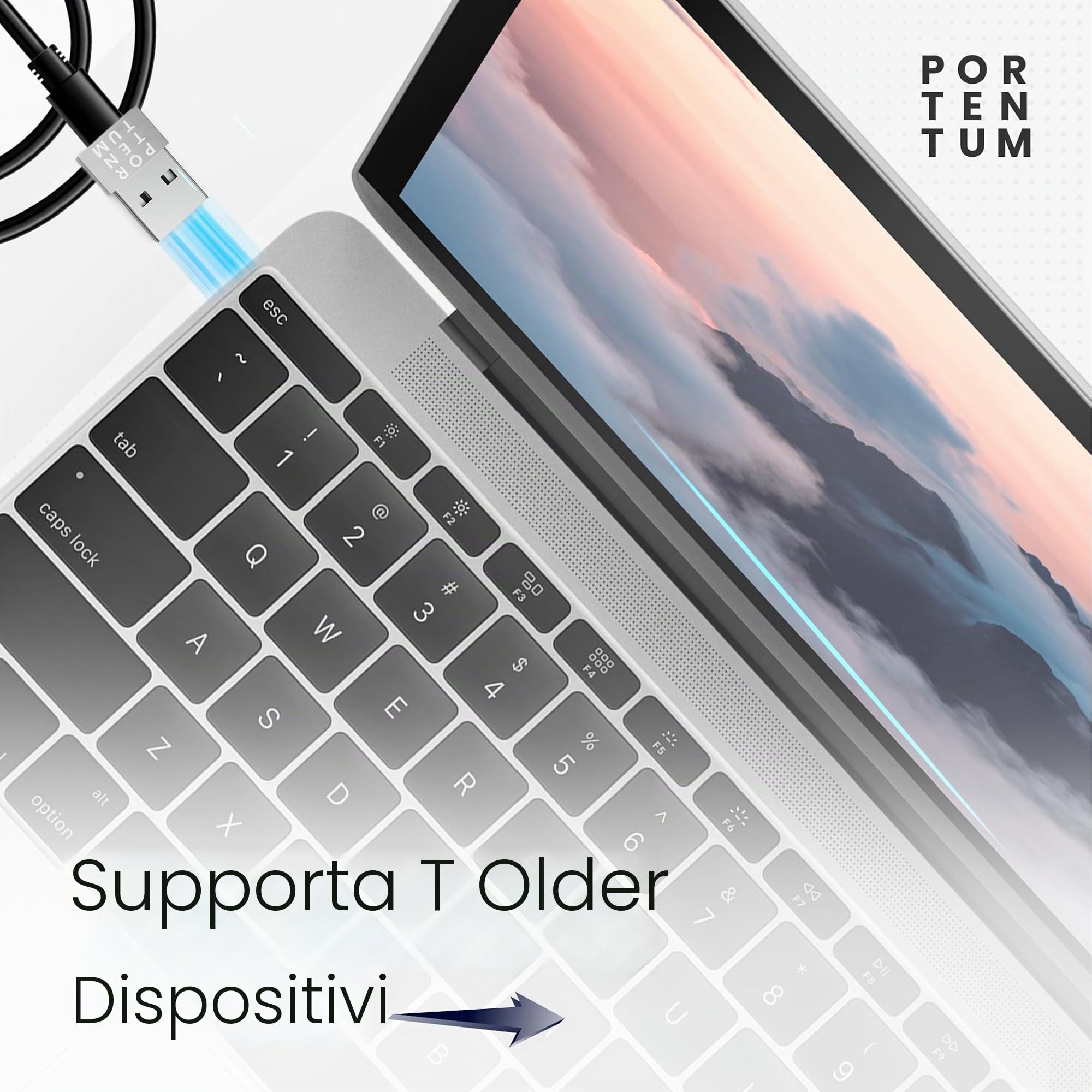 PORTENTUM Adattatore USB C Femmina a USB A Maschio 2.0 480 MB Zinco